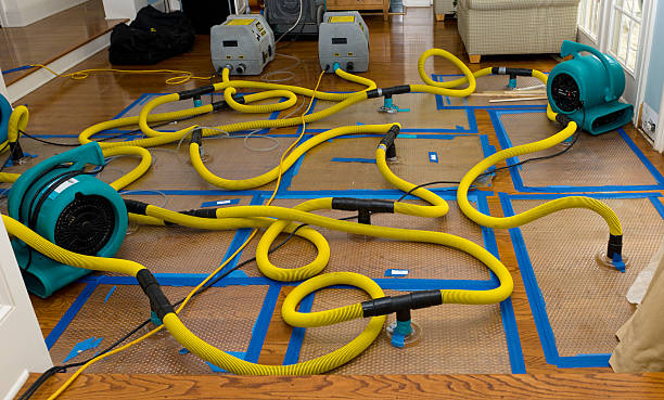 Professional Water Damage Repair technician working in Sharpsville, PA